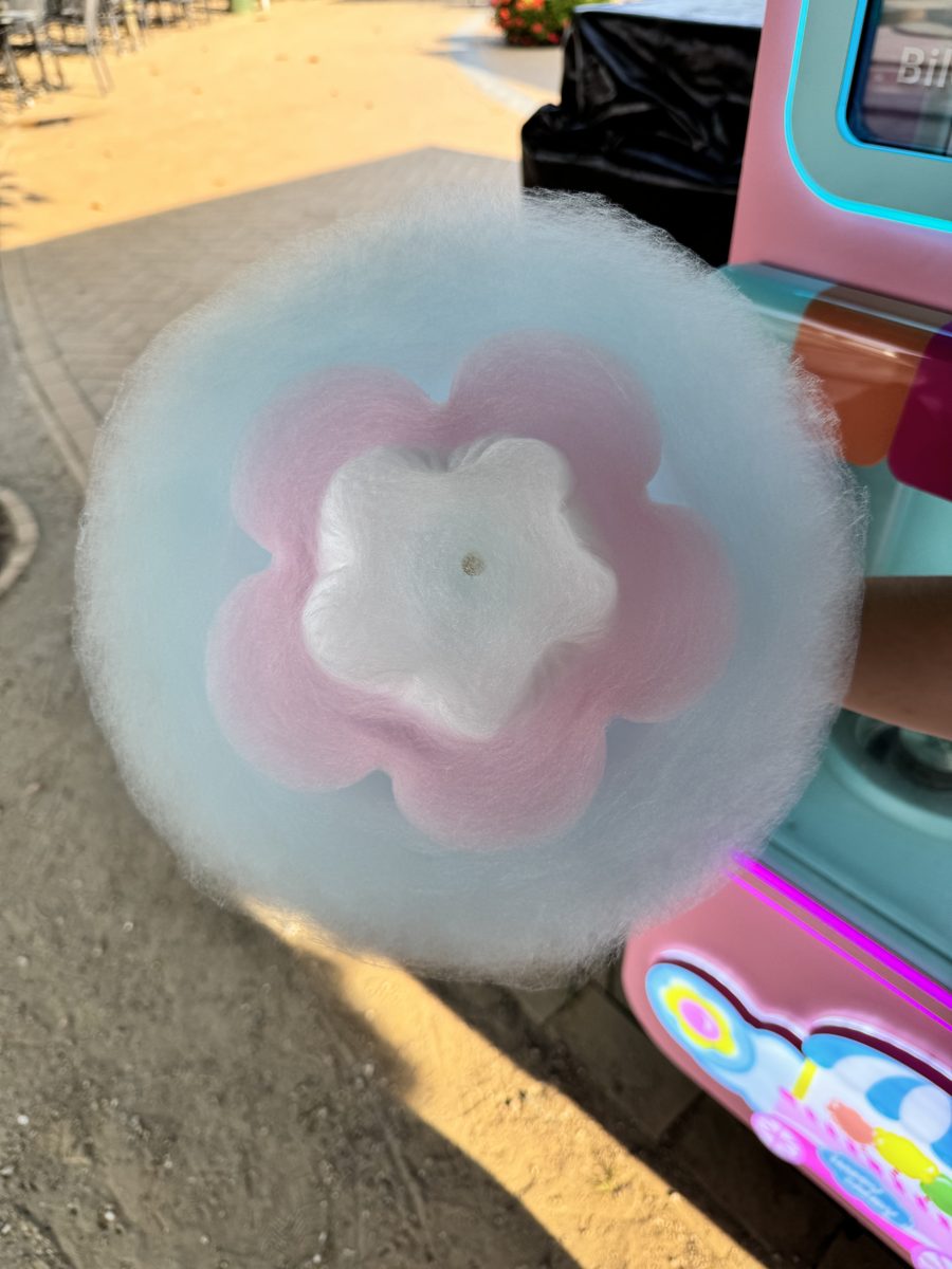 Frische Zuckerwatte – rosa-lila Wolke